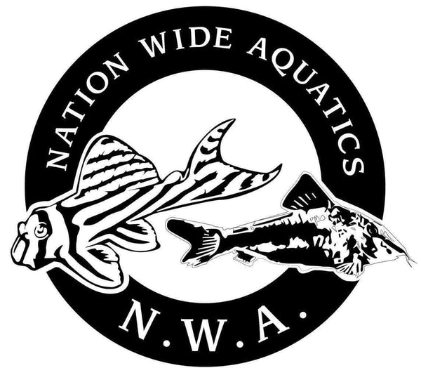 Nation Wide Aquatics 
